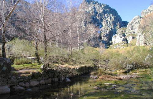 Casa Ferreira - Foto 56