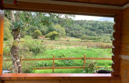 Songbird Lodge - Near brew pub/10 mins from Snowdon - Photo 4