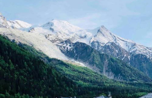 Mont Blanc 25, vue Mont blanc, balcon, parking - Photo 4