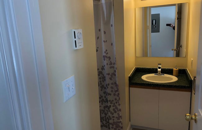 The Shores of Deer Lake - Foto 7