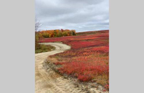 Downeast Coastal Maine Escape! - Foto 35