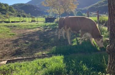 Agriturismo La Gemma del Parco - Foto 32