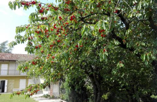 Casa Badinot - Foto 29