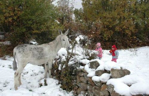 La Quinta Del Chocolatero - Photo 41