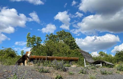 Ferienwohnungen Bauernschmause - Foto 47