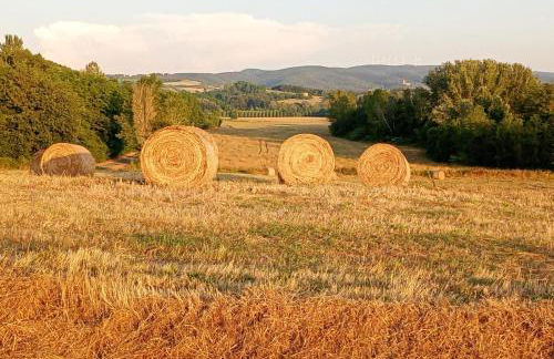 Agriturismo Campolungo - Foto 12