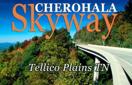 The Owl's Perch - Foto 37