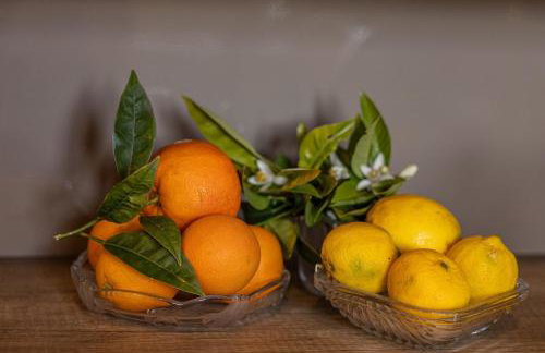 Casa Renta - Foto 64