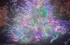 Karkonoska Przystań Motocyklowa u Lisa - Foto 45