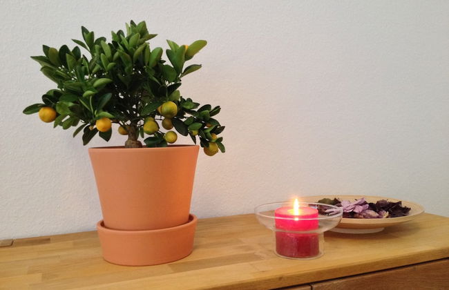 Apartmenthaus Haus Feuerbach - Photo 2