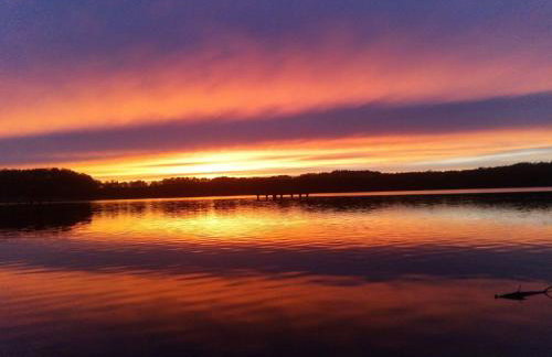 Ferienhaus-Hus-Stine-an-der-Mueritz - Photo 52