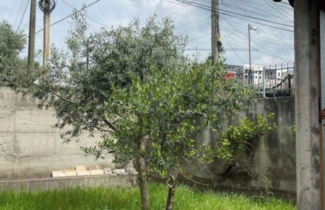 Kalpazo Tirana Vila 313 - Foto 38