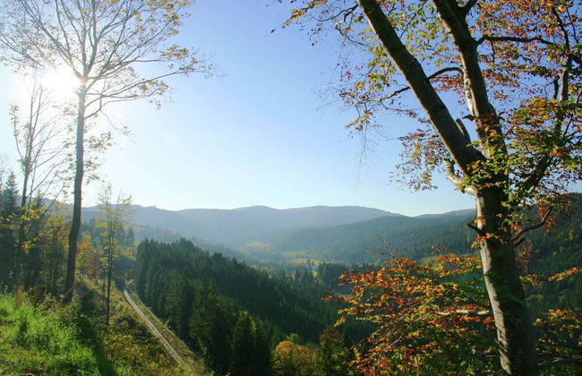 Malerische Erdgeschosswohnung - Foto 31