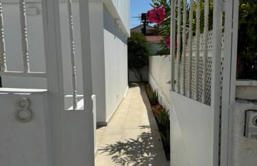 Magnífico Timón 8 - Foto 63