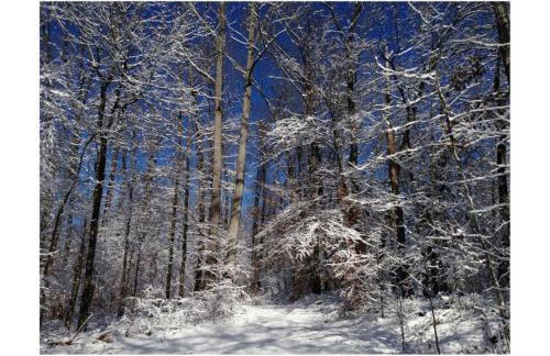 Stately Luxury Vacation Rental with a Private Hot Tub near Brown County State Park, Indiana - Foto 33