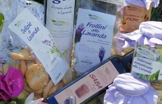 Fattoria Belvedere - Photo 9