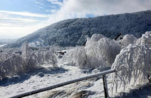 Domek w Chmurach II - Foto 52