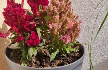 Apartament Luxusowe Karkonosze - Foto 37