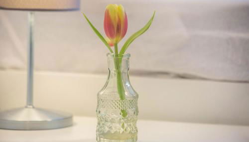 Ideal für die Entdeckerfamilie - Foto 3