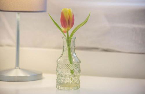 Ideal für die Entdeckerfamilie - Foto 3