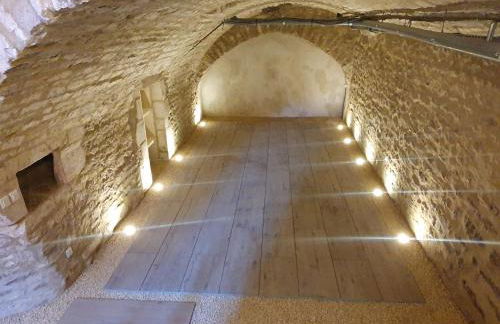 Vitis Vinifera - Foto 23