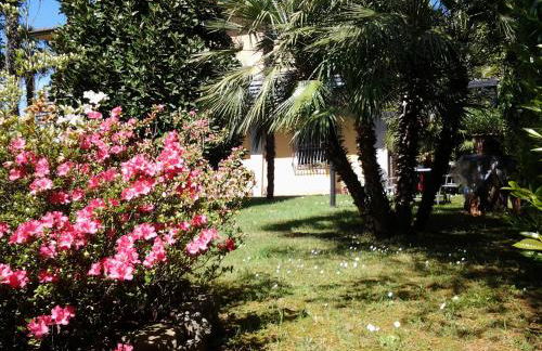 Villa Celeste - Foto 75