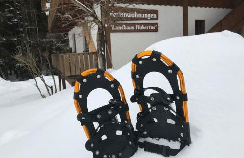 Ferienwohnung Hubertus - Foto 30