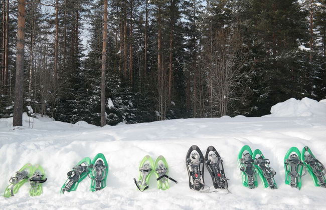 Näsets Marcusgård - Photo 37