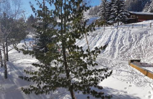 Apartment Pegase Phenix-65 by Interhome - Photo 18