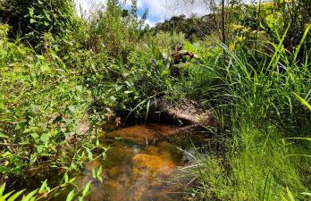 Studio Pitanga - Vale do Capão - Caeté Açu - - Foto 12