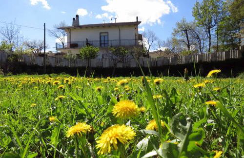 Il Canto degli Uccelli - Foto 51