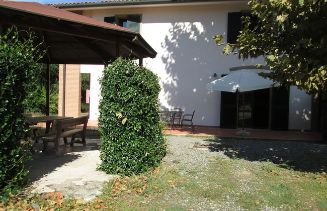 Fattoria La Steccaia - Foto 31