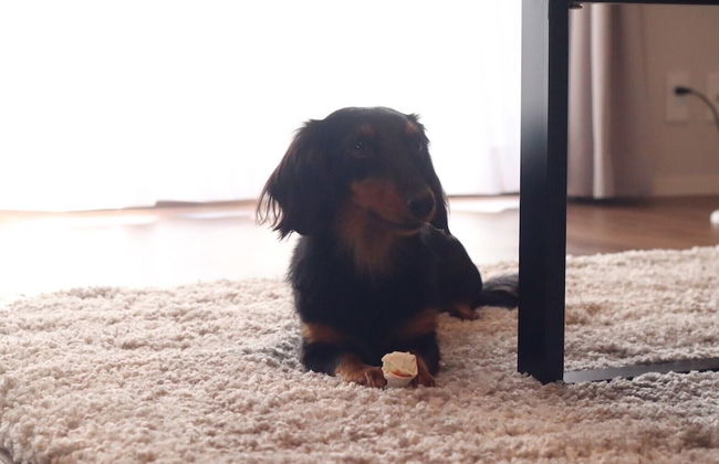 decopinhouse - Foto 69