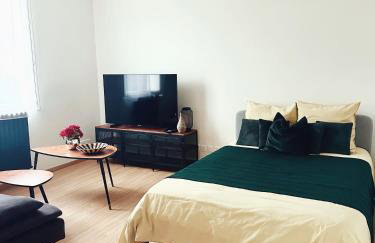 Grand Studio WiFi rapide RER B - Foto 5