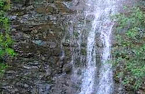 Secluded Cabin Nestled in the Mountains near the Tioga State Forest, Pennsylvania - Foto 9