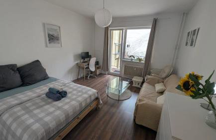 Quiet Apartment in Mitte near Bellevue Tiergarten - Foto 1