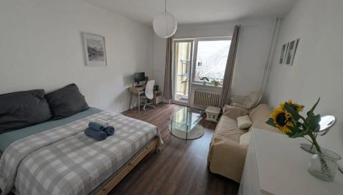 Quiet Apartment in Mitte near Bellevue Tiergarten - Foto 1
