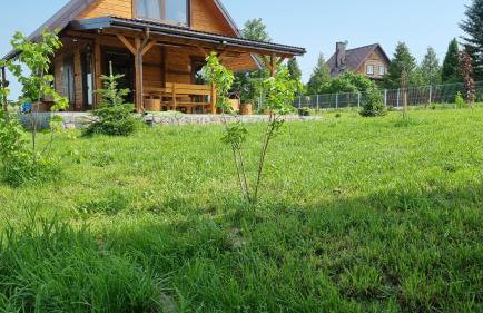 Agrosturystyka Leśna 21 - Foto 16