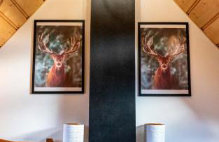 Domki Dream House Resort 606-436-626 - Foto 36