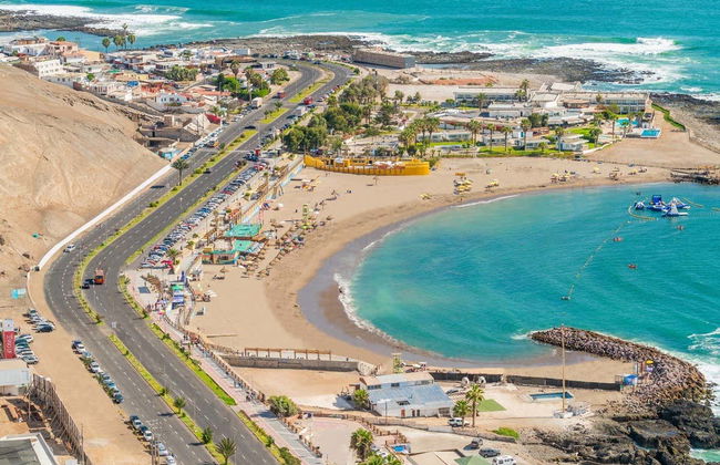 Arica + Valley of Azapa Tour - Photo 1