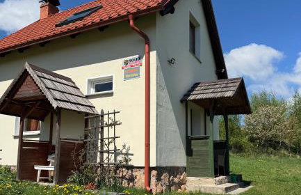 Wzgórze Artystów - Foto 51