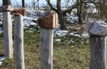 Charmante Ferienwohnung 100 qm - Foto 42