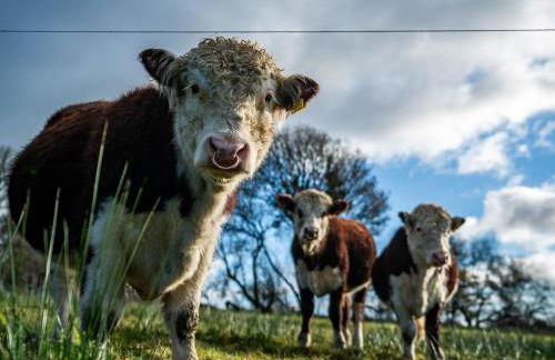 Coach House - Foto 61