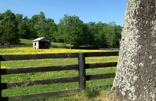 Full Circle Farm Inn - Foto 24