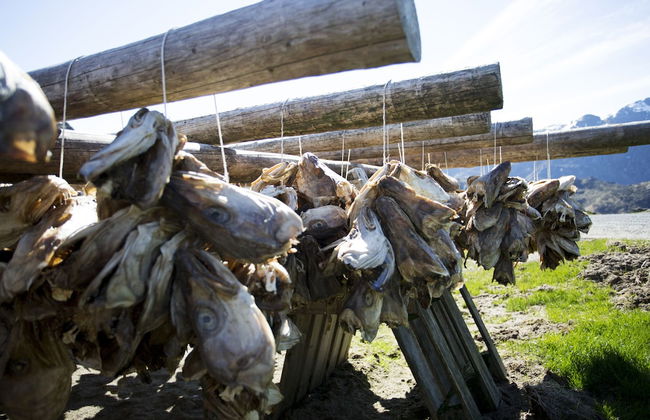 Unstad Arctic Surf - Foto 41