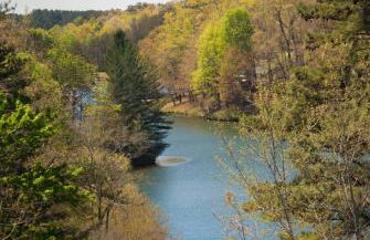 Country Hideaway at Mountain Lakes Resort - Foto 23