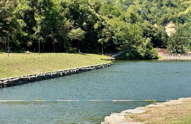 La sosta al lago - Foto 27