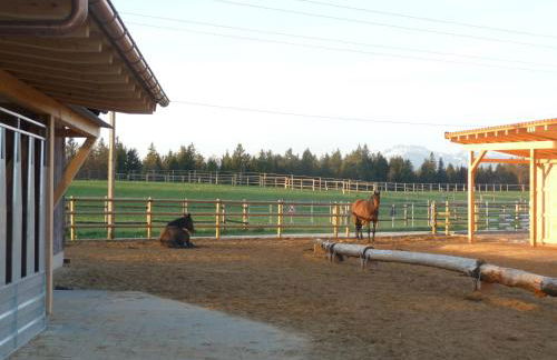 Marxhof Seebruck am Chiemsee - Photo 38