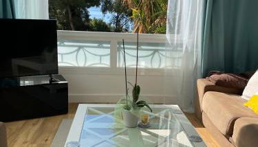 Appartement neuf, 2 chambres, climatisé, route des Sanguinaires - Foto 1