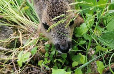 casa vacanza da ghislin - Foto 50